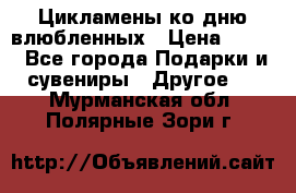 Цикламены ко дню влюбленных › Цена ­ 180 - Все города Подарки и сувениры » Другое   . Мурманская обл.,Полярные Зори г.